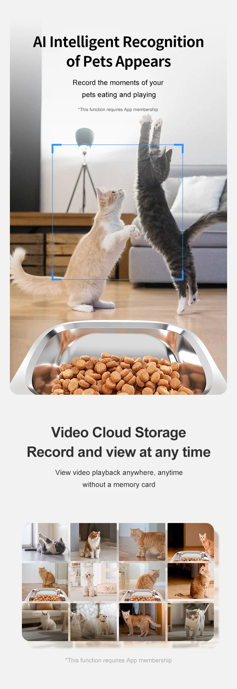 Smart Ai Pet Recognition Automatic Cat Food Feeder With Two Cameras Remote Feeding 6L Dog Food Dispenser