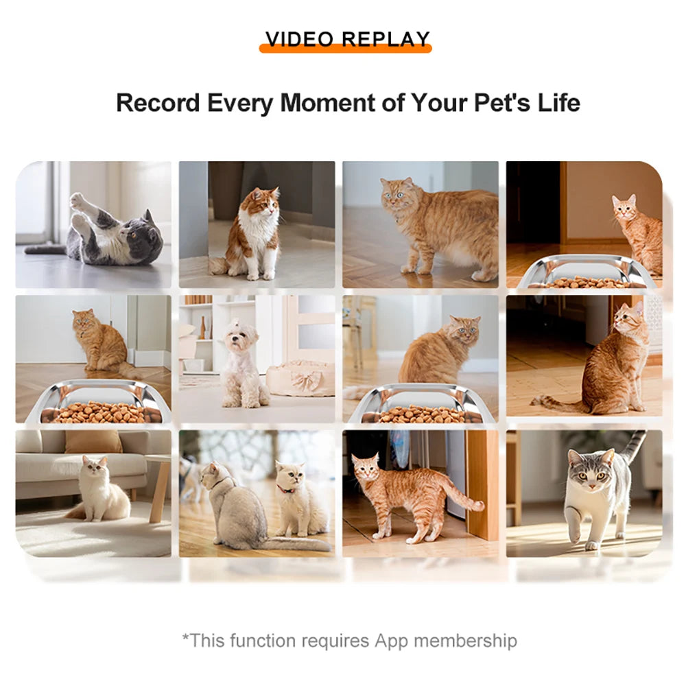 Smart Ai Pet Recognition Automatic Cat Food Feeder With Two Cameras Remote Feeding 6L Dog Food Dispenser